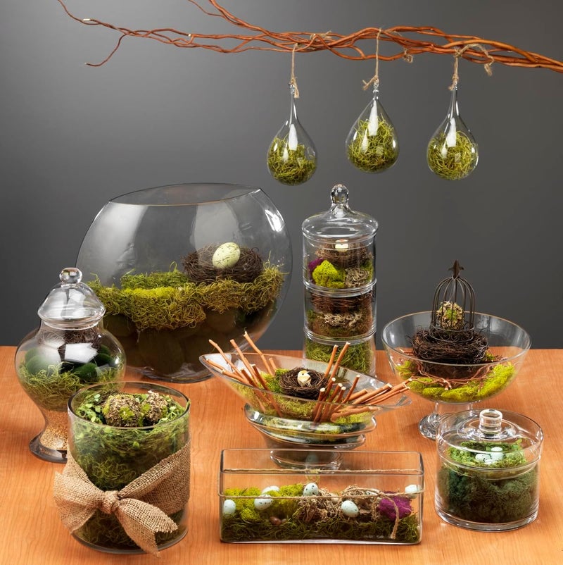 Super Moss (26956) Preserved Spanish Moss – Decorative Moss for Crafts, Potted Plants, Fairy Gardens, Vase Filler, Floral Arrangements & Indoor/Outdoor Garden Projects, 120 Cu in, Coffee - Image 5